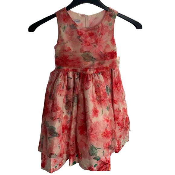 New Bonnie‎ Jean Little Girls Fancy Flower Dress 5T Tulle Pink Occasion - Picture 1 of 13
